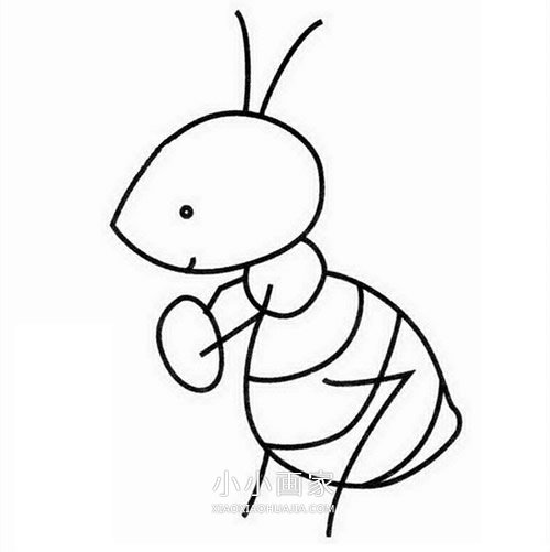 简单小蚂蚁简笔画画法图片步骤步骤5