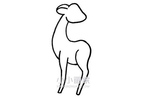 美丽梅花鹿简笔画画法图片步骤步骤4