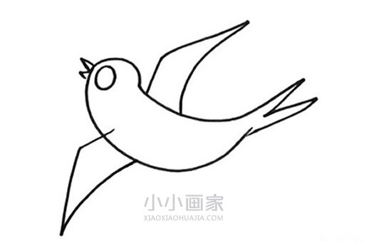 春天小燕子简笔画画法图片步骤步骤6