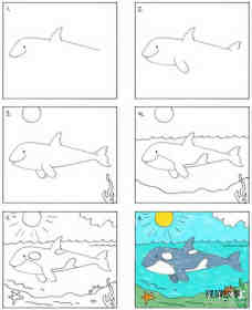海底世界的大鲸鱼简笔画画法图片步骤步骤1