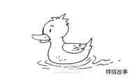 水中的黄色鸭子简笔画画法图片步骤步骤8