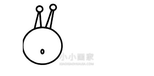 可爱松鼠简笔画画法图片步骤步骤2