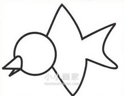 飞行的小麻雀简笔画画法图片步骤步骤3