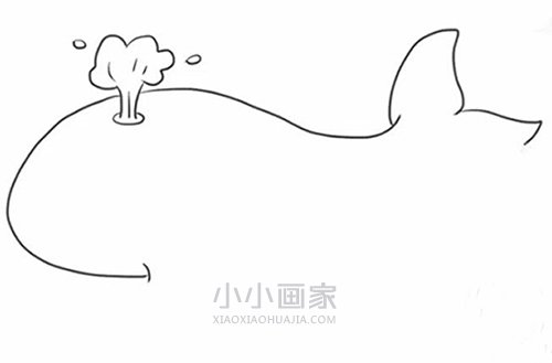 简单鲸鱼简笔画画法图片步骤步骤5