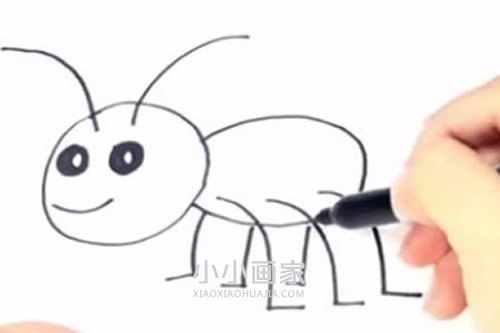 简单的蚂蚁简笔画画法图片步骤步骤5