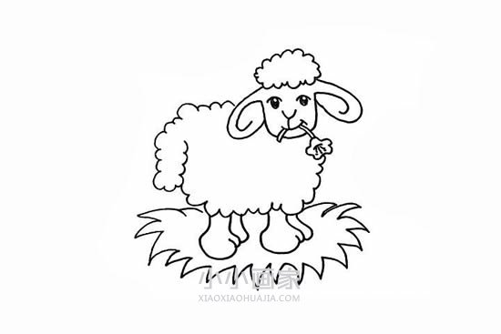 叼花的小绵羊简笔画画法图片步骤步骤7