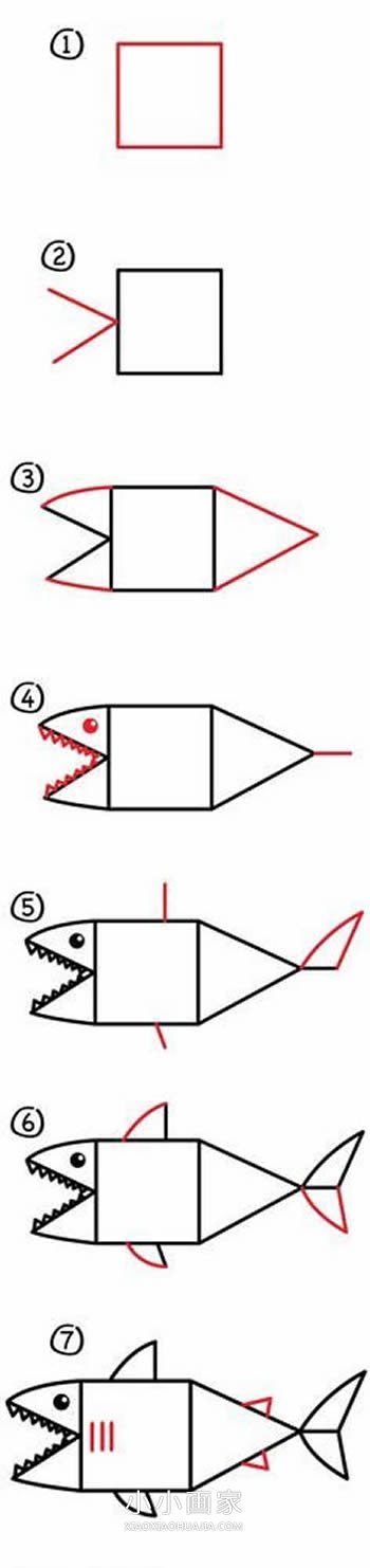 绘本故事有趣的鲨鱼简笔画画法图片步骤