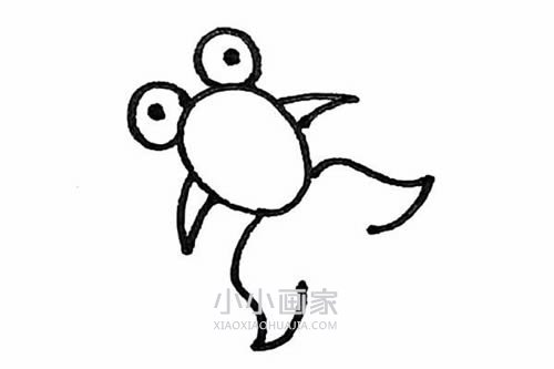 美丽金鱼简笔画画法图片步骤步骤5