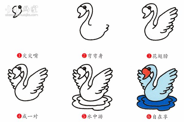 彩色水中的天鹅简笔画画法图片步骤