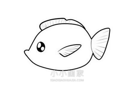 可爱小扁鱼简笔画画法图片步骤步骤1