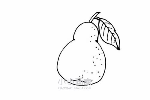 彩色梨子简笔画画法图片步骤步骤6