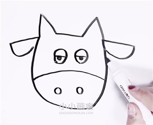 逗趣奶牛简笔画画法图片步骤步骤4