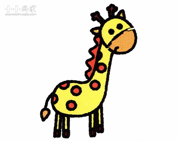 彩色长颈鹿简笔画画法图片步骤步骤1