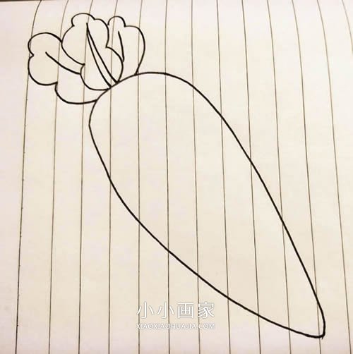 简单胡萝卜简笔画画法图片步骤步骤3