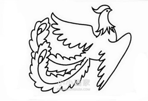 美丽凤凰简笔画画法图片步骤步骤5