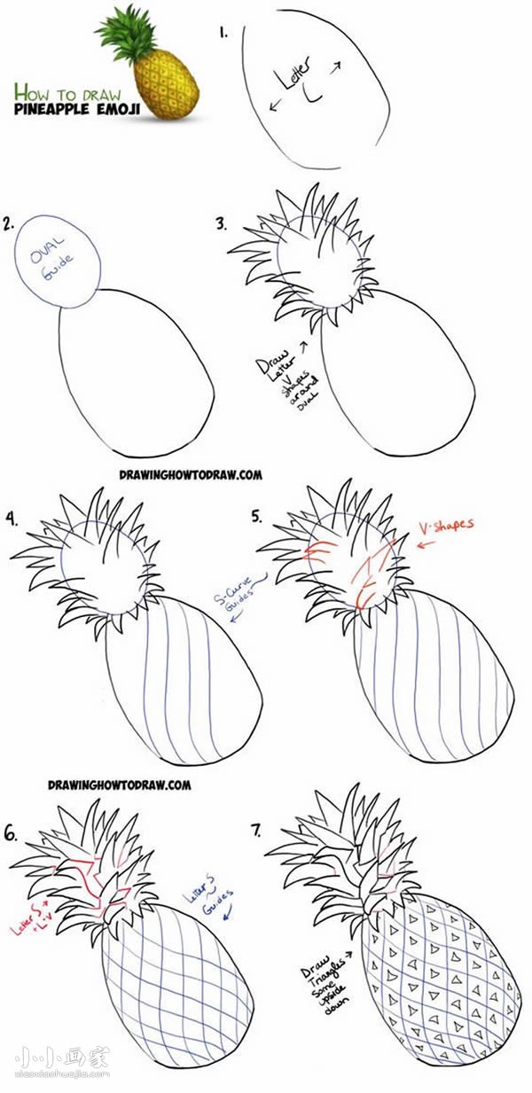 凤梨简笔画画法图片步骤步骤1