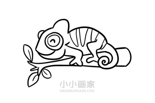 可爱彩色变色龙简笔画画法图片步骤步骤6