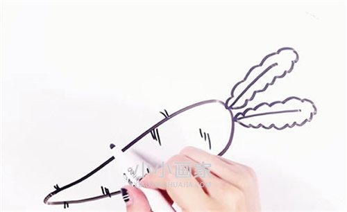 两根胡萝卜简笔画画法图片步骤步骤4