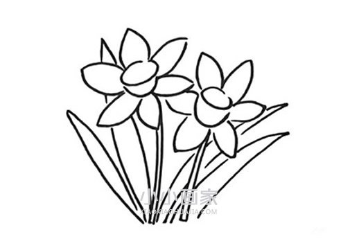 卡通水仙花简笔画画法图片步骤步骤6