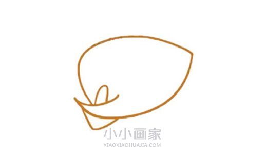 彩色马蹄莲简笔画画法图片步骤步骤3