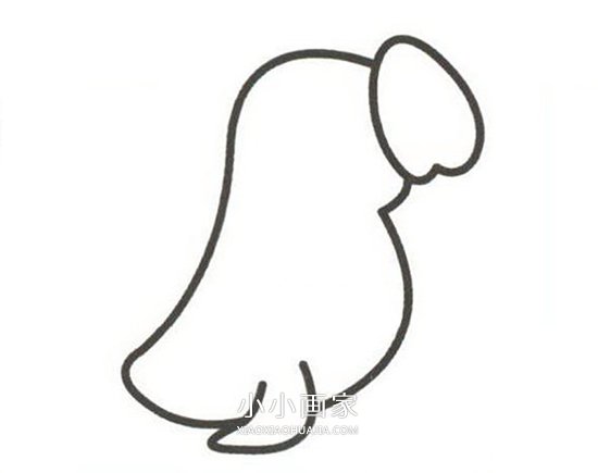 彩色海豹简笔画画法图片步骤步骤3