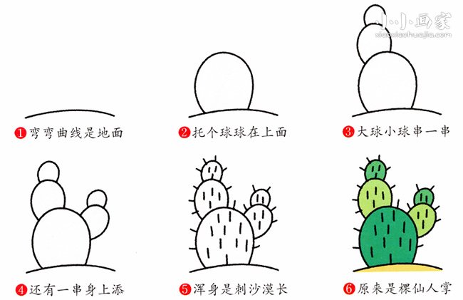 绘本故事彩色仙人掌简笔画画法图片步骤