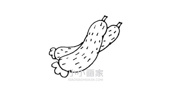 简单黄瓜简笔画画法图片步骤步骤6