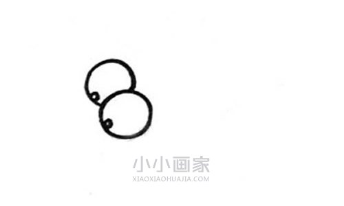 彩色蜻蜓简笔画画法图片步骤步骤2