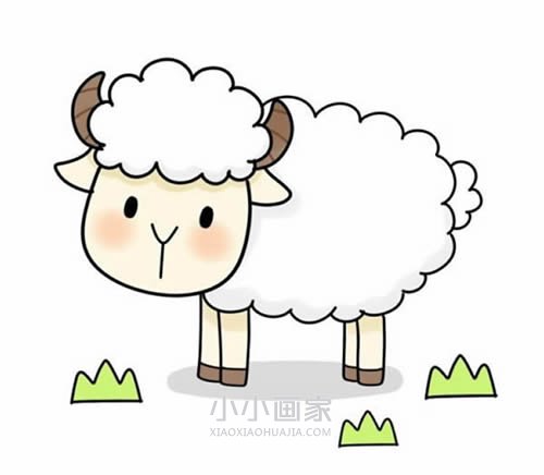 绘本故事彩色卡通小绵羊简笔画画法图片步骤
