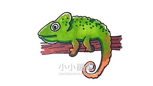 绘本故事树枝上的变色龙简笔画画法图片步骤