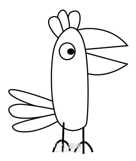 鹦鹉波利简笔画画法图片步骤步骤1