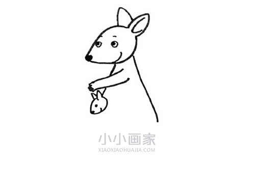 袋鼠妈妈和小袋鼠简笔画画法图片步骤步骤4