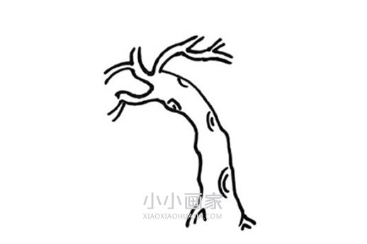 春天柳树简笔画画法图片步骤步骤4