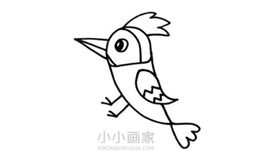 捉虫子的啄木鸟简笔画画法图片步骤步骤4