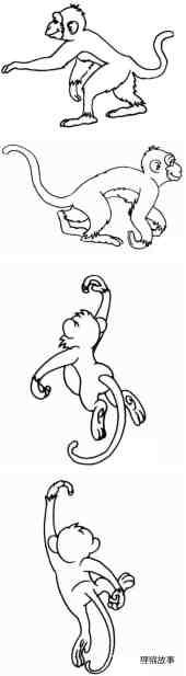 绘本故事卡通猴子怎么画简单好看 猴子简笔画图片