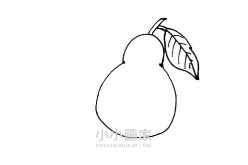 彩色梨子简笔画画法图片步骤步骤5