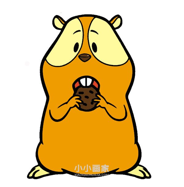 绘本故事吃饼干的土拨鼠简笔画画法图片步骤