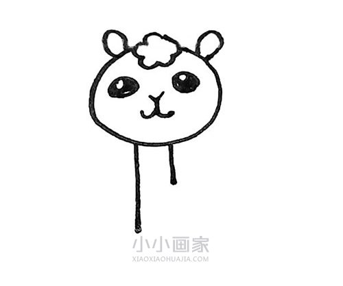 彩色羊驼简笔画画法图片步骤步骤4