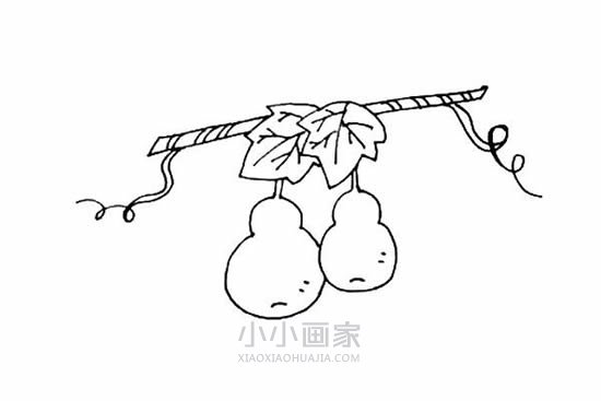 可爱葫芦简笔画画法图片步骤步骤7