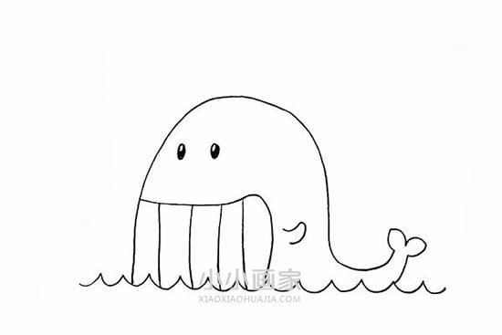 笑嘻嘻的鲸鱼简笔画画法图片步骤步骤6