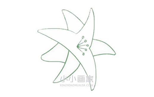 简单百合花简笔画画法图片步骤步骤4