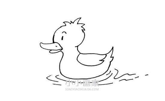 水中的黄色鸭子简笔画画法图片步骤步骤7