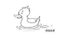 水中的黄色鸭子简笔画画法图片步骤步骤7