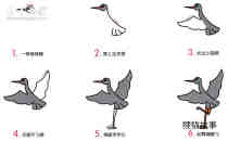 绘本故事站立的灰鹤简笔画画法图片步骤
