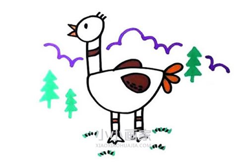 绘本故事可爱鸵鸟简笔画画法图片步骤