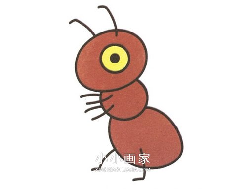 绘本故事彩色小蚂蚁简笔画画法图片步骤
