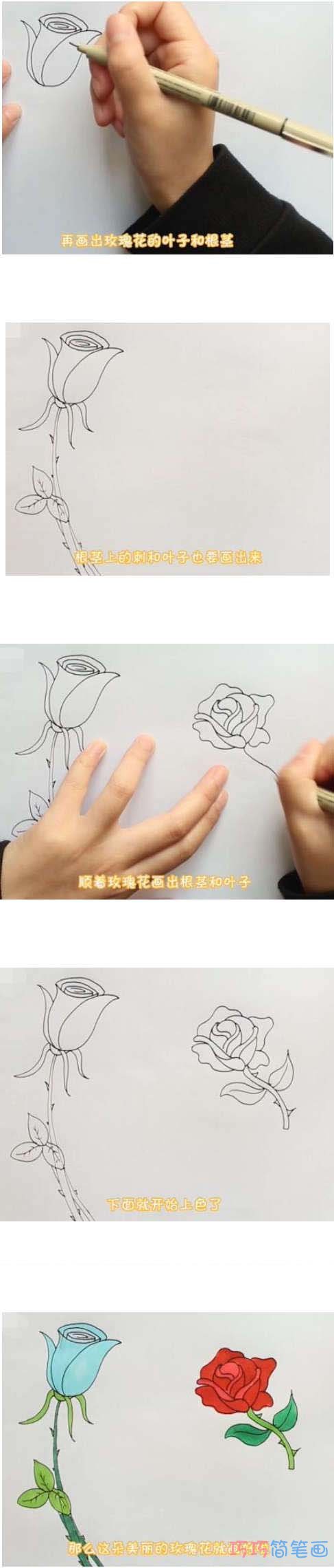 一步一步手绘情人节玫瑰花简笔画教程涂颜色步骤1