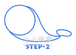 可爱卡通小海狮简笔画画法图片步骤步骤3