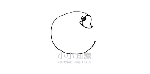 创意鹅的简笔画画法图片步骤步骤3