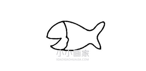 快乐的小鱼简笔画画法图片步骤步骤3